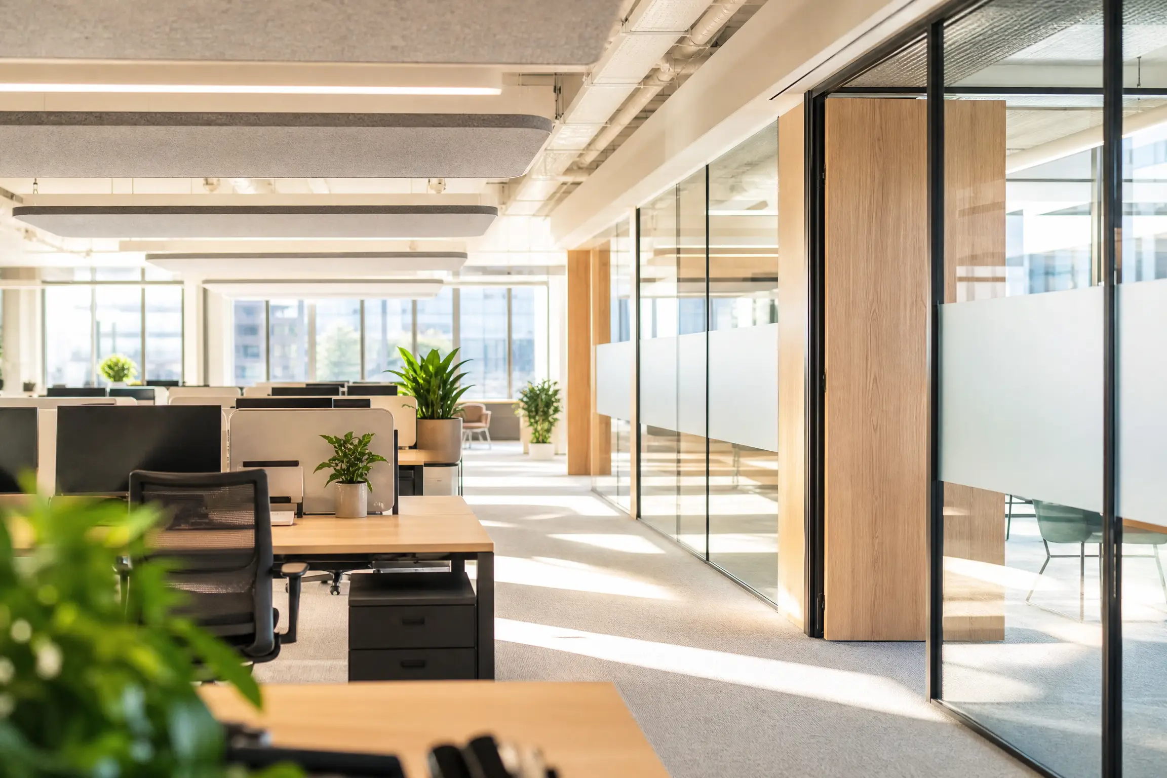 Planta de oficinas luminosa después de la reforma, paneles de zona suspendidos y mamparas acristaladas tratadas